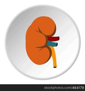 Kidney icon in flat circle isolated vector illustration for web. Kidney icon circle