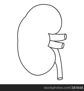 Kidney icon. Outline illustration of kidney vector icon for web. Kidney icon, outline style