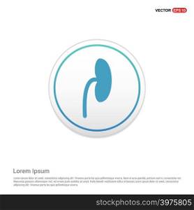 kidney icon - white circle button