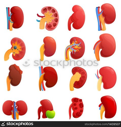 Kidney icons set. Cartoon set of kidney vector icons for web design. Kidney icons set, cartoon style