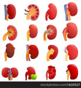 Kidney icons set. Cartoon set of kidney vector icons for web design. Kidney icons set, cartoon style