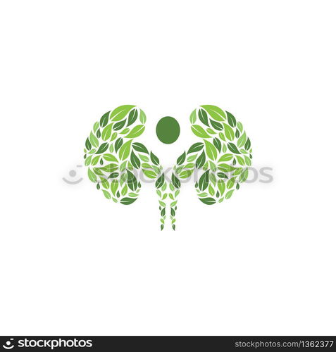 kidney vector illusrtation design logo template