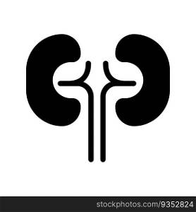 Kidneys black glyph icon. Urinary system checkup. Organ transplantation. Human body inner part. Medical checkup. Silhouette symbol on white space. Solid pictogram. Vector isolated illustration. Kidneys black glyph icon