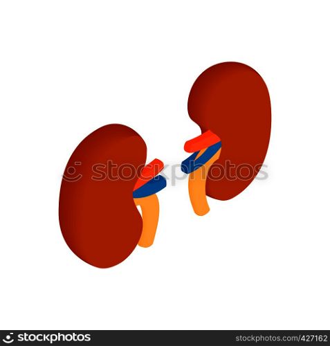 Kidneys isometric 3d icon. Human organs symbol on a white background. Kidneys isometric 3d icon