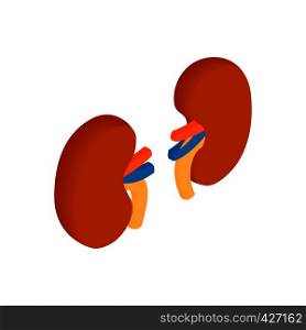 Kidneys isometric 3d icon. Human organs symbol on a white background. Kidneys isometric 3d icon