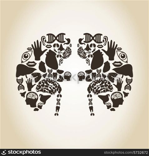 Kidneys made of body parts. A vector illustration