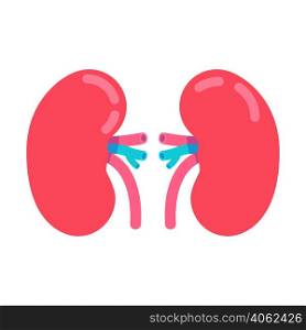 Kidneys semi flat color vector object. Bean-shaped organs. Full sized item on white. Surgical procedure. Human organ anatomy. Simple cartoon style illustration for web graphic design and animation. Kidneys semi flat color vector object