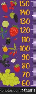 Kids height chart measure ruler forest and garden berries. Vector growth meter, wall sticker for children height measurement with scale, cartoon grape, mulberry, strawberry or cranberry and cloudberry. Kids height chart ruler, forest and garden berries