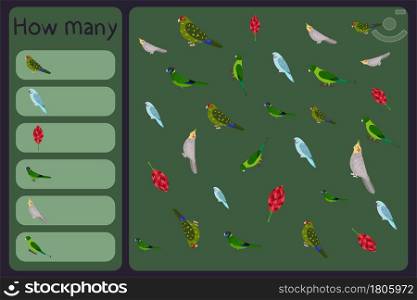 Kids mathematical mini game - count how many parrots and tropical florals - kakariki, rose ringed, australian ringneck, cockatiel, racket tail. Educational games for children. Cartoon design template. Kids mathematical mini game - count how many parrots and tropical florals - kakariki, rose ringed, australian ringneck, cocatiel, racket tail. Educational games for children.