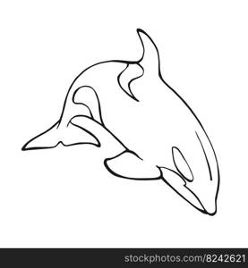 Killer whale. Hand drawn illustration converted to vector.