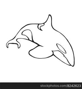 Killer whale. Hand drawn illustration converted to vector.