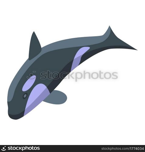Killer whale hunts icon. Isometric of Killer whale hunts vector icon for web design isolated on white background. Killer whale hunts icon, isometric style