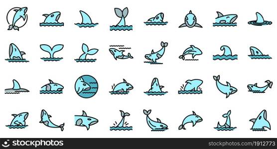 Killer whale icons set. Outline set of killer whale vector icons thin line color flat on white. Killer whale icons set vector flat