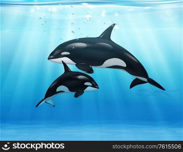 Killer whale in sea realistic composition mother and her child swim underwater vector illustration