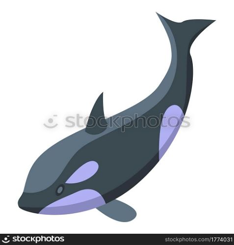 Killer whale jump icon. Isometric of Killer whale jump vector icon for web design isolated on white background. Killer whale jump icon, isometric style