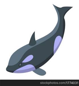 Killer whale jump icon. Isometric of Killer whale jump vector icon for web design isolated on white background. Killer whale jump icon, isometric style