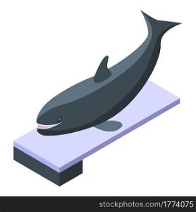 Killer whale on springboard icon. Isometric of Killer whale on springboard vector icon for web design isolated on white background. Killer whale on springboard icon, isometric style