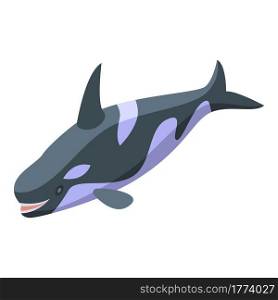 Killer whale swimming icon. Isometric of Killer whale swimming vector icon for web design isolated on white background. Killer whale swimming icon, isometric style