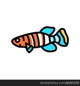 killifish aquarium fish color icon vector. killifish aquarium fish sign. isolated symbol illustration. killifish aquarium fish color icon vector illustration