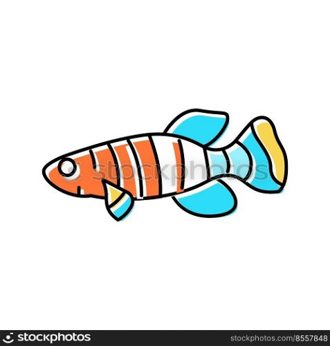 killifish aquarium fish color icon vector. killifish aquarium fish sign. isolated symbol illustration. killifish aquarium fish color icon vector illustration