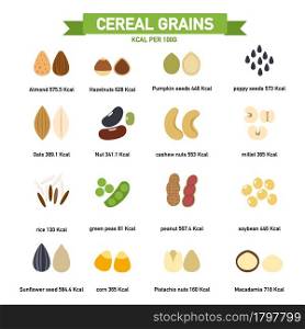 kilocalorie in cereal grains per100 gram infographics.vector illustration.