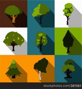 Kind of trees icons set. Flat illustration of 9 kind of trees vector icons for web. Kind of trees icons set, flat style