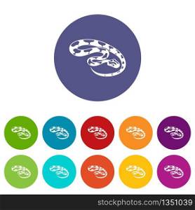 King snake icons color set vector for any web design on white background. King snake icons set vector color