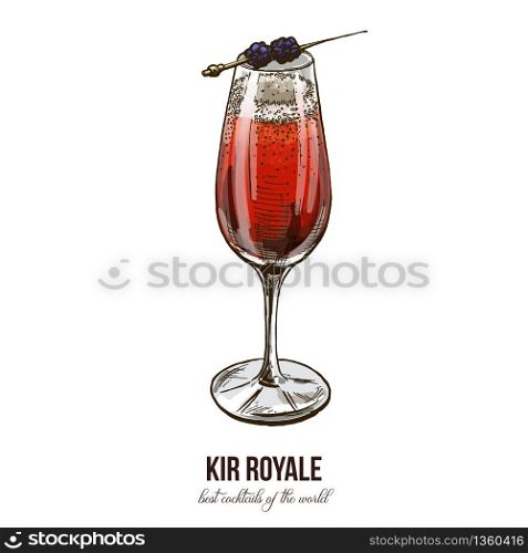 Kir Royale cocktail, vector illustration, hand drawn sketch, colored