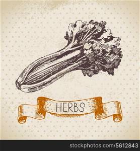 Kitchen herbs and spices. Vintage background with hand drawn sketch celery&#xA;