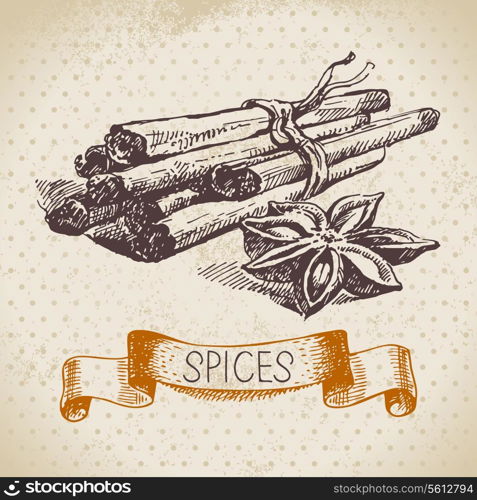 Kitchen herbs and spices. Vintage background with hand drawn sketch cinnamon