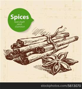 Kitchen herbs and spices. Vintage background with hand drawn sketch cinnamon