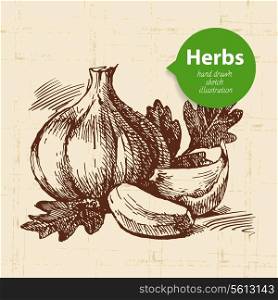 Kitchen herbs and spices. Vintage background with hand drawn sketch garlic