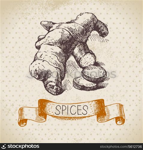 Kitchen herbs and spices. Vintage background with hand drawn sketch ginger