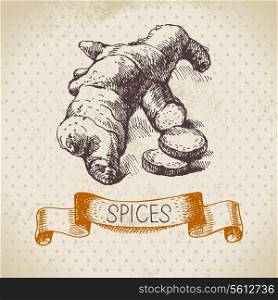 Kitchen herbs and spices. Vintage background with hand drawn sketch ginger