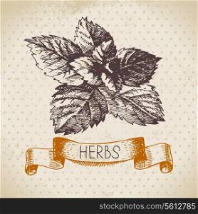 Kitchen herbs and spices. Vintage background with hand drawn sketch mint