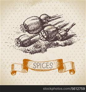 Kitchen herbs and spices. Vintage background with hand drawn sketch poppy seeds
