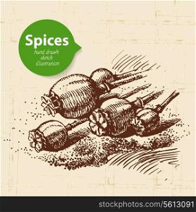 Kitchen herbs and spices. Vintage background with hand drawn sketch poppy seeds