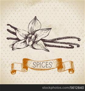 Kitchen herbs and spices. Vintage background with hand drawn sketch vanilla&#xA;