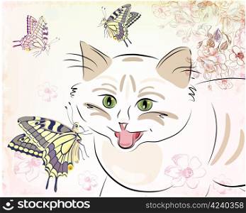 kitten and butterflies