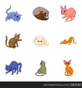 Kitty icons set. Cartoon illustration of 9 kitty vector icons for web. Kitty icons set, cartoon style