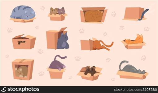 Kitty in box. Domestic funny animal playing with cardboard package pets games exact vector cartoon pictures set isolated. Illustration of kitty animal and cat sitting or playing. Kitty in box. Domestic funny animal playing with cardboard package pets games exact vector cartoon pictures set isolated