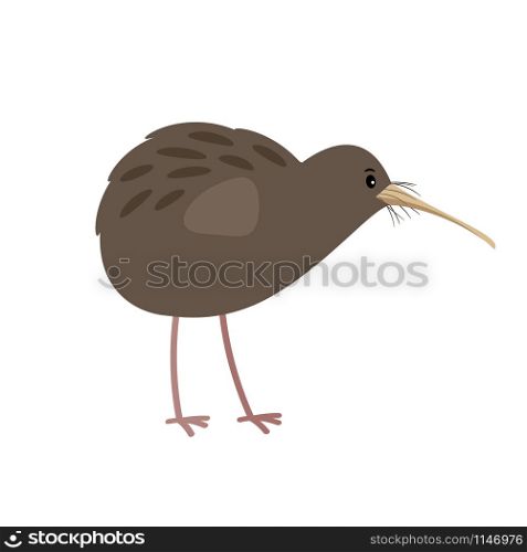 Kiwi cute cartoon bird icon isolated on white background, vector illustration. Kiwi cute cartoon bird icon