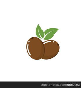 kiwi fruit icon vector illustration design template 