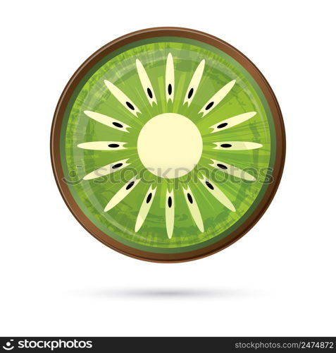 Kiwi Icon Isolated on White. Vector Illustration. Green Kiwi with Shadow