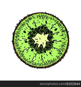 kiwi slice fruit hand drawn. green fresh, food juicy, healthy cut, sweet vegetarian, half freshness kiwi slice fruit vector sketch. isolated color illustration. kiwi slice fruit sketch hand drawn vector