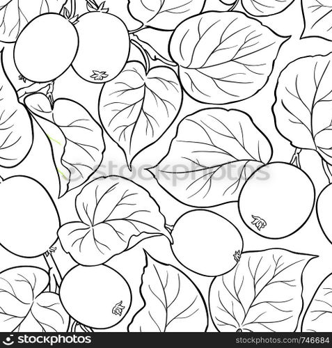 kiwi vector pattern on white background. kiwi vector pattern