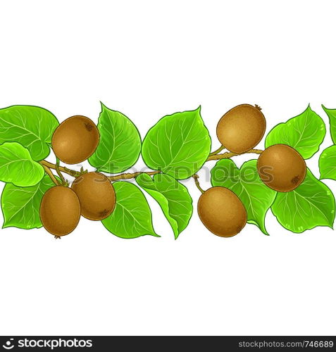 kiwi vector pattern on white background. kiwi vector pattern