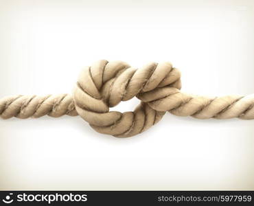 Knot, vector