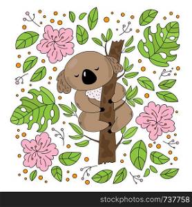 KOALA GARDEN Australian Bear Flower Vector Illustration Set