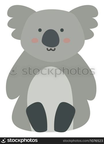 Koala, illustration, vector on white background.